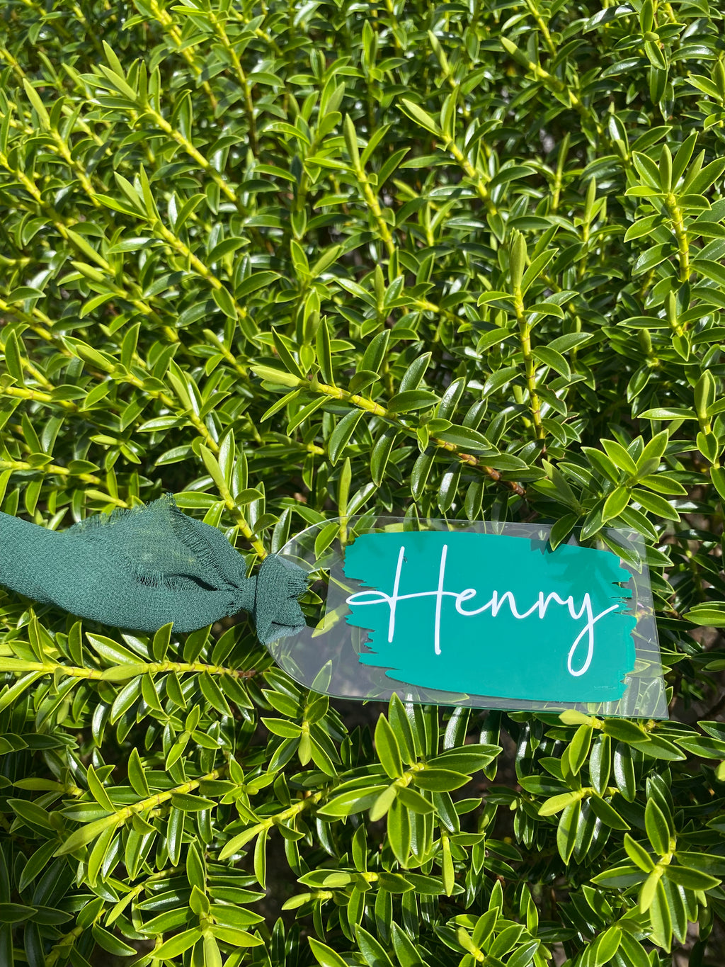 Personalized Acrylic Tags