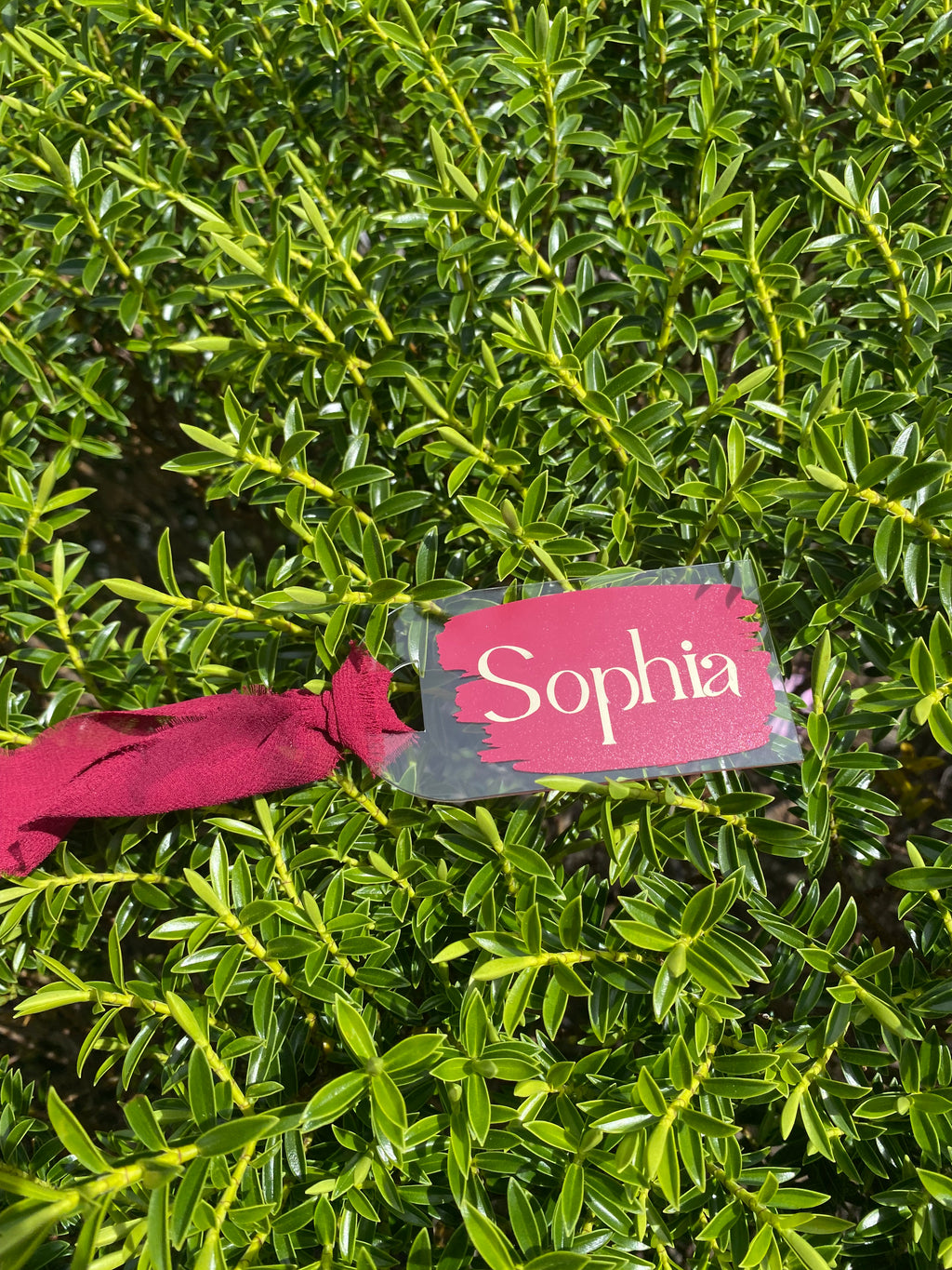 Personalized Acrylic Tags